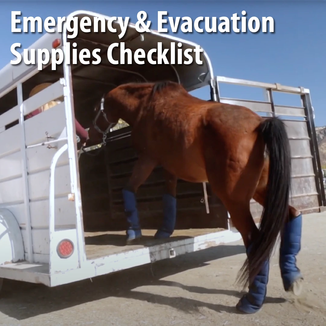 Emergency Equine Evacuation and Supplies Checklist - Marys Tack Shop