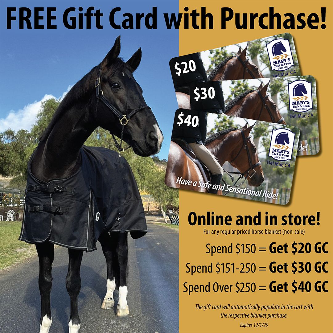 horse blankets, gift cards
