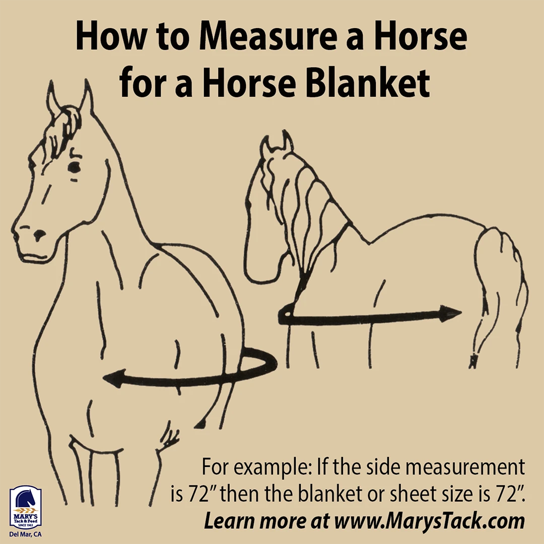 How to measure a horse for a horse blanket-Marys Tack Shop