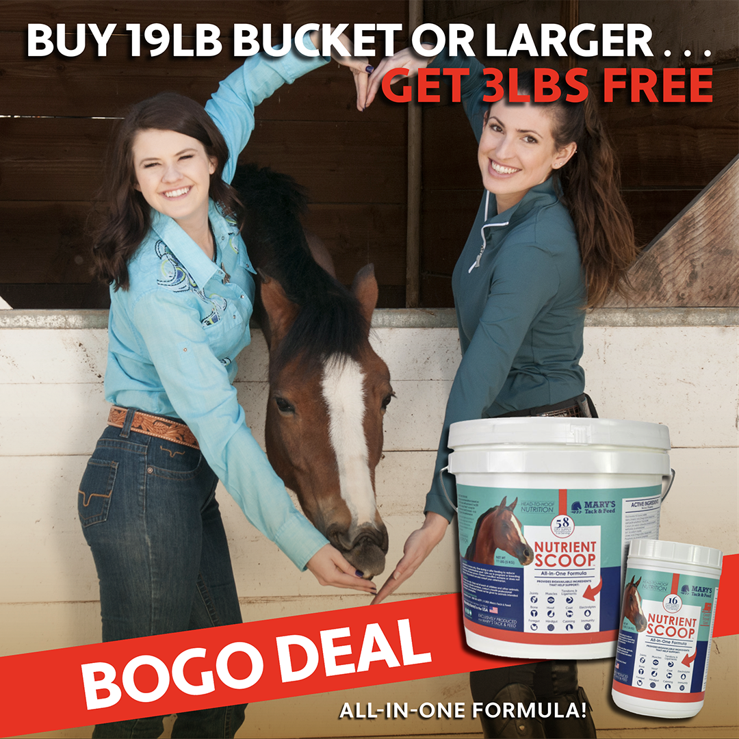 all-in-one horse supplement nutrient scoop supports health for horses