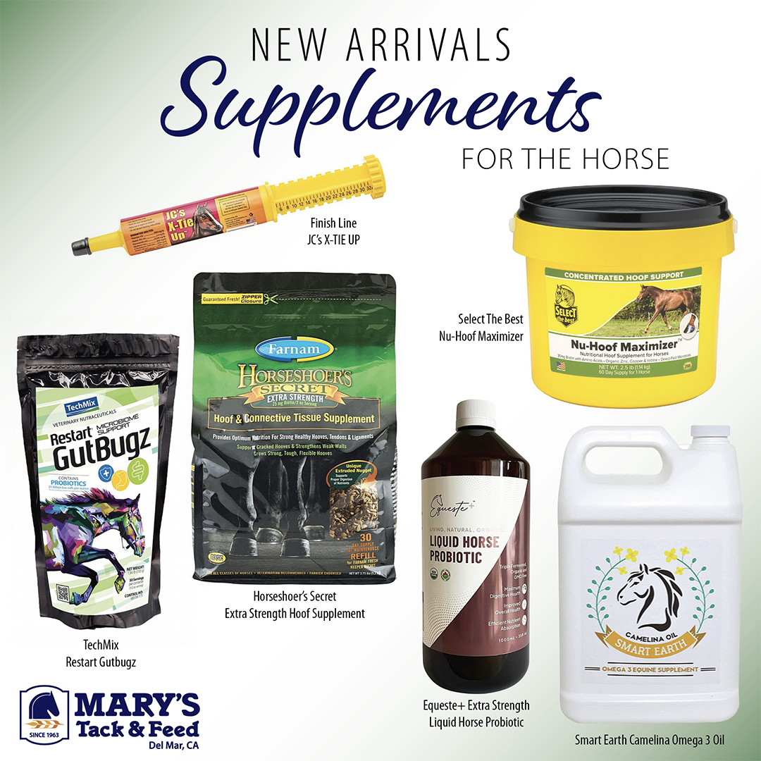 horse supplements, gut health for horses, probiotics for the horse
