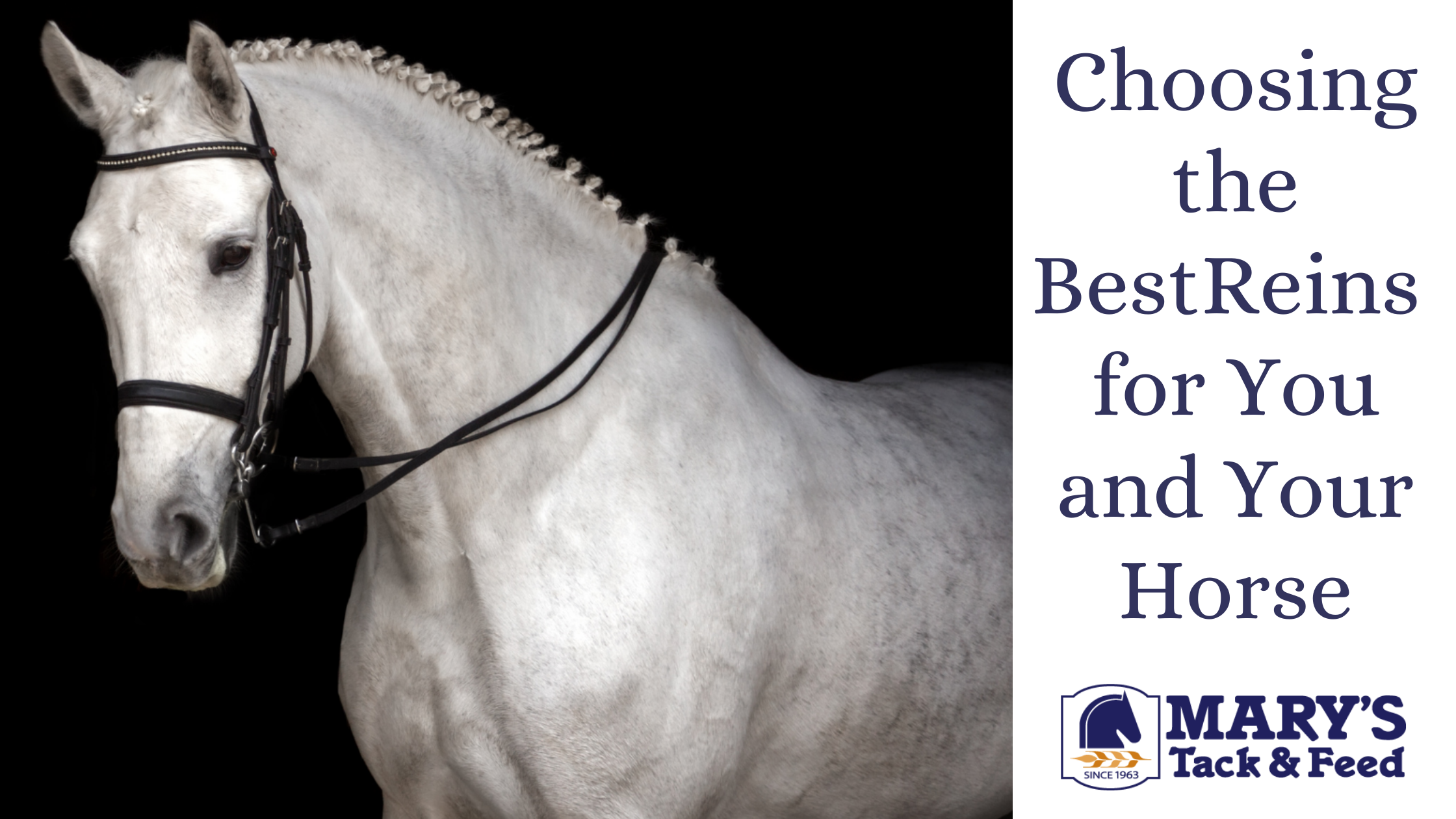 Choosing the Best Reins for You and Your Horse Marys Tack & Feed