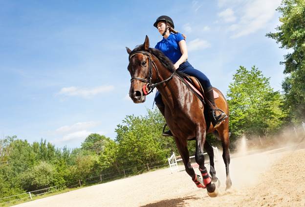 A person riding a horse Description automatically generated with medium confidence