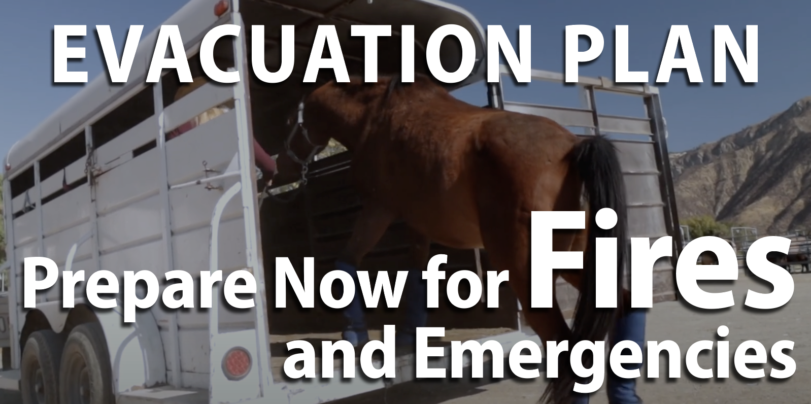 Equine Emergency Evacuation Kit Checklist Horse Adopt vrogue.co