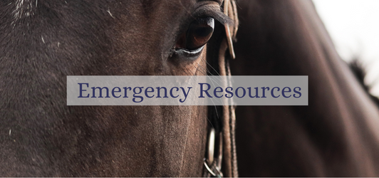 emergency resources horse evacuation