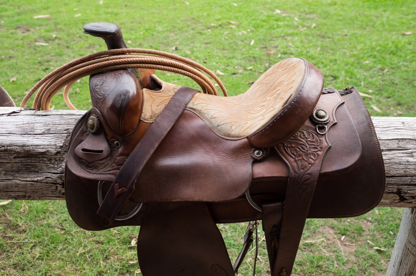 A picture containing grass, outdoor, outdoor object, saddle Description automatically generated
