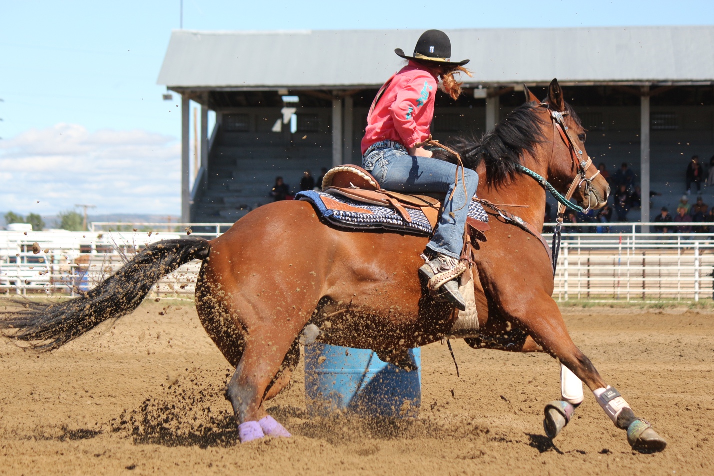 A person riding a horse Description automatically generated with medium confidence