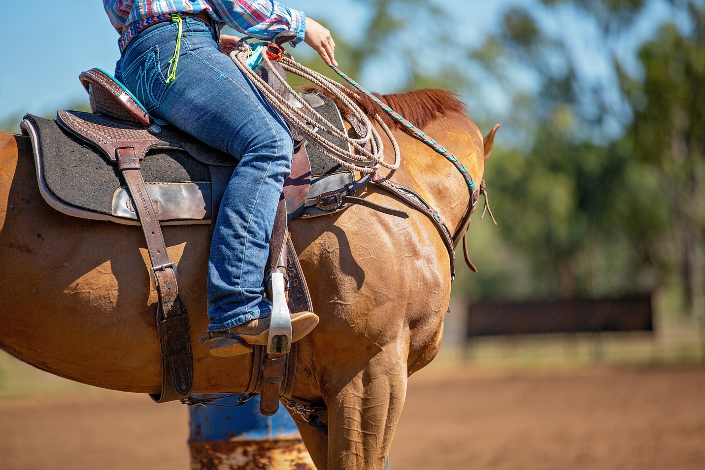 A person riding a horse Description automatically generated