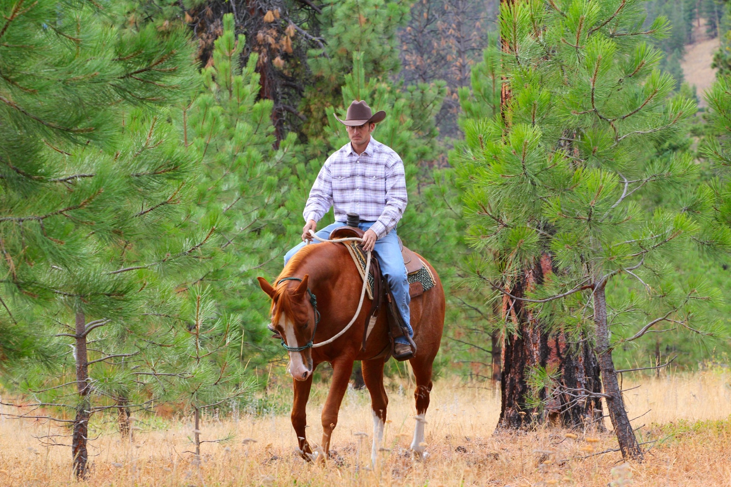 A person riding a horse Description automatically generated