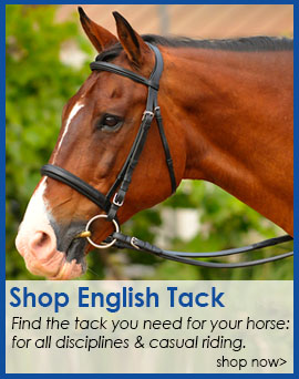 horse tack shops online