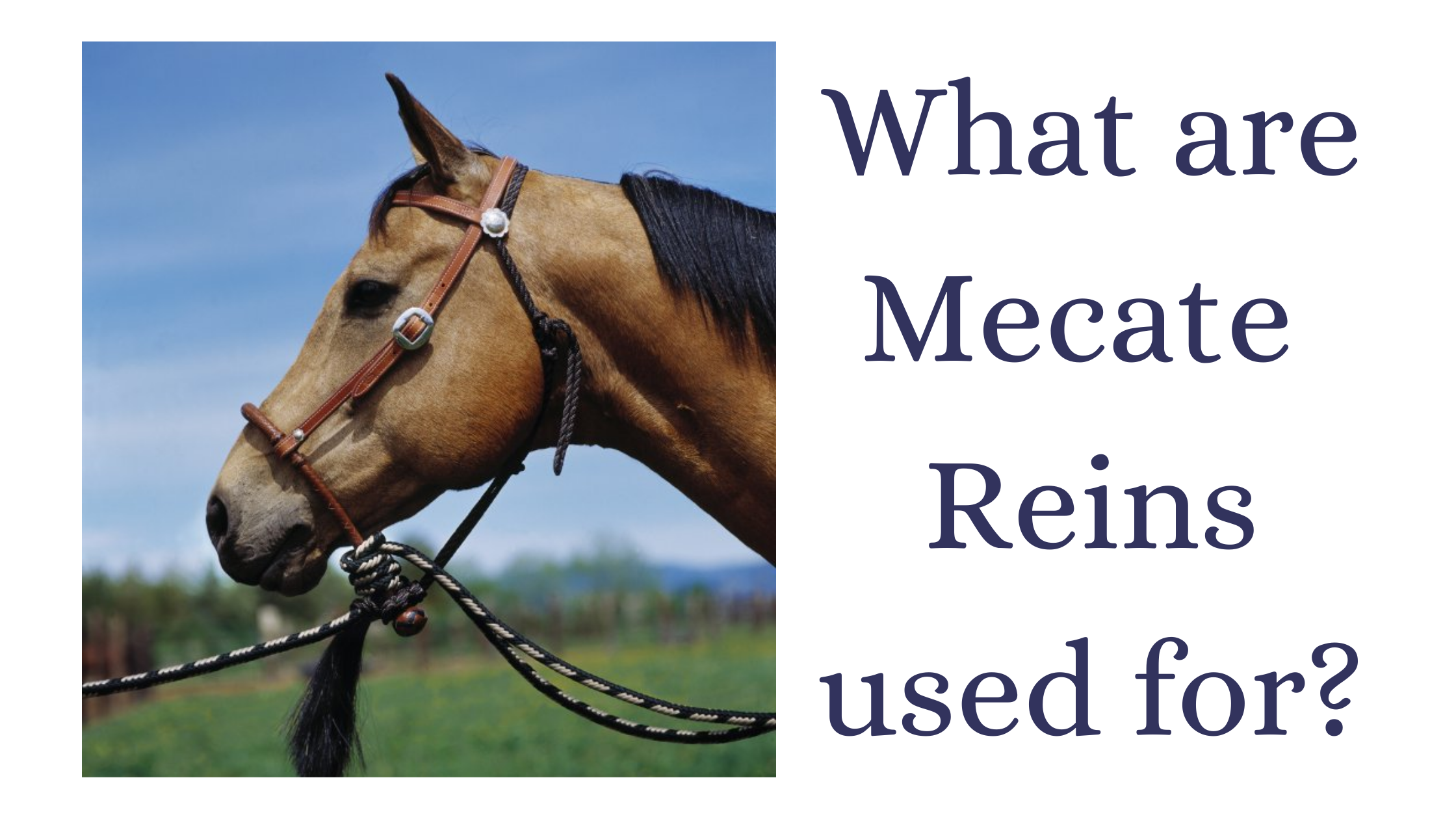https://cdn11.bigcommerce.com/s-99vj2qx/product_images/uploaded_images/what-are-macate-reins-used-for-cover.png