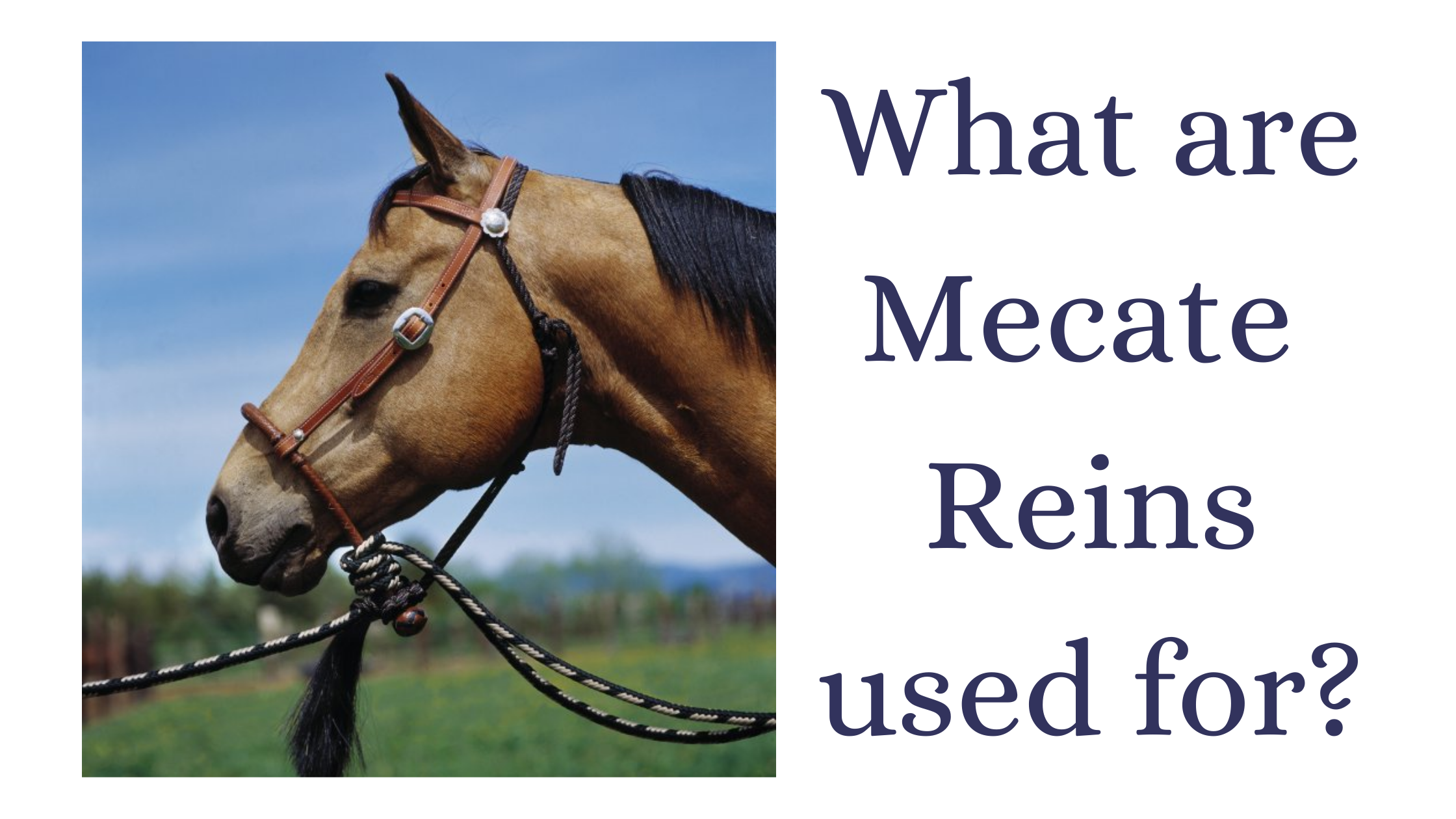 Bosal/Mecate