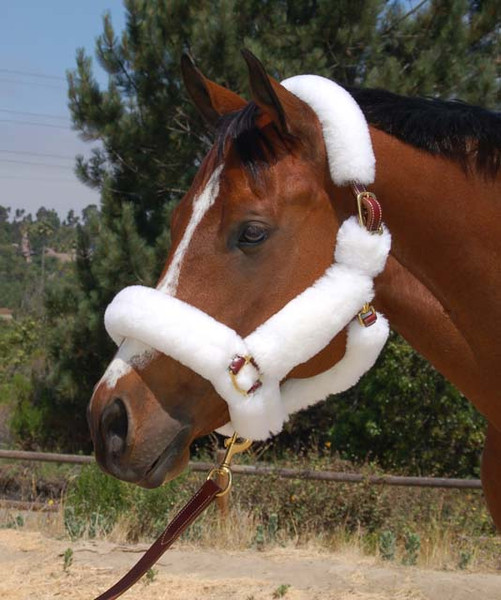 Walsh Fleece Shipping Halter main image 1