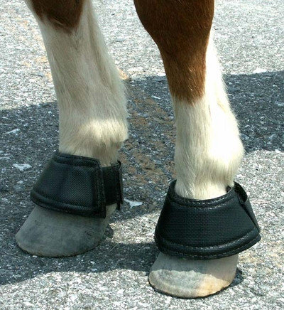 velcro bell boots