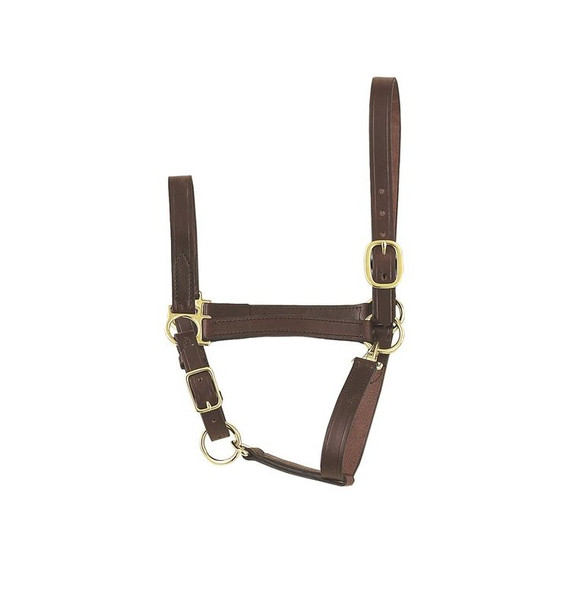 Perri's Twisted Leather Halter