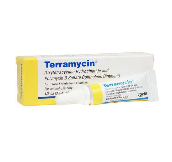 Terramycin Ophthalmic Ointment Pet Eye Ointments