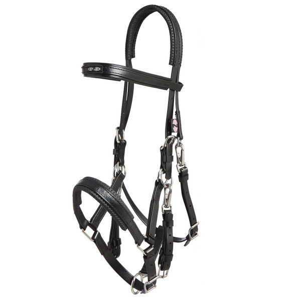 Zilco Marathon Endurance Bridle- Western Tack