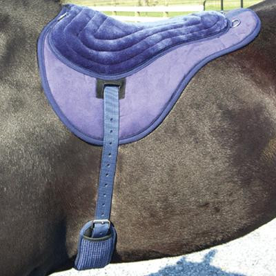 Comfort Plus Bareback Pad Horse Tack