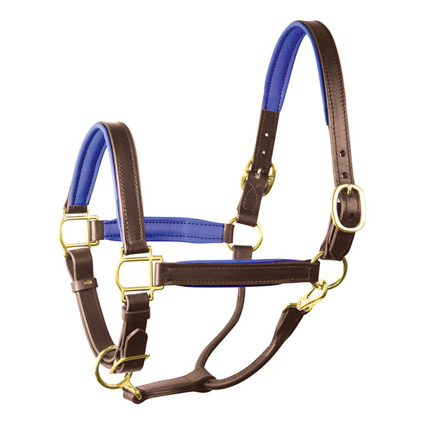 Perri's Padded Leather Halter with Color Trim