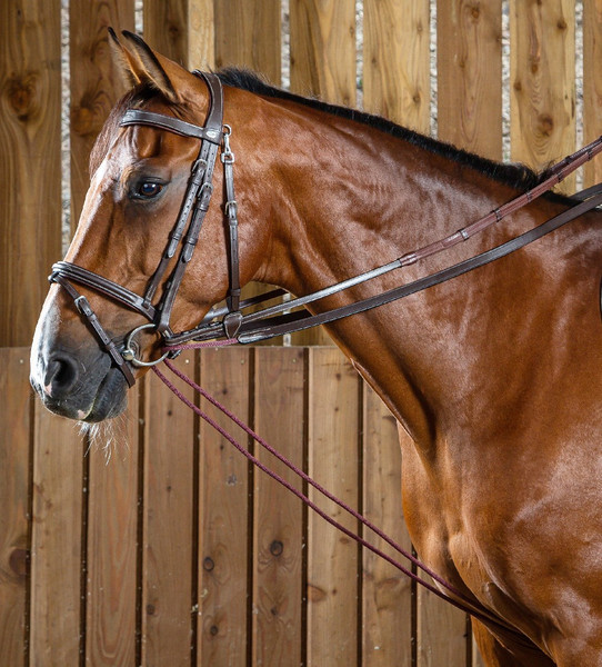 Exion Horse Leather Draw Reins With Elastic And Snap End | 6/8"- 19mm Wide, Premium Leather Draw Rein For Horses, Full Length 90 Inches On Each Side | Ideal For Horse Training