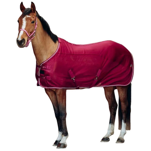 Horze Ella Pony Mesh Combo Cooler- Pony Blankets