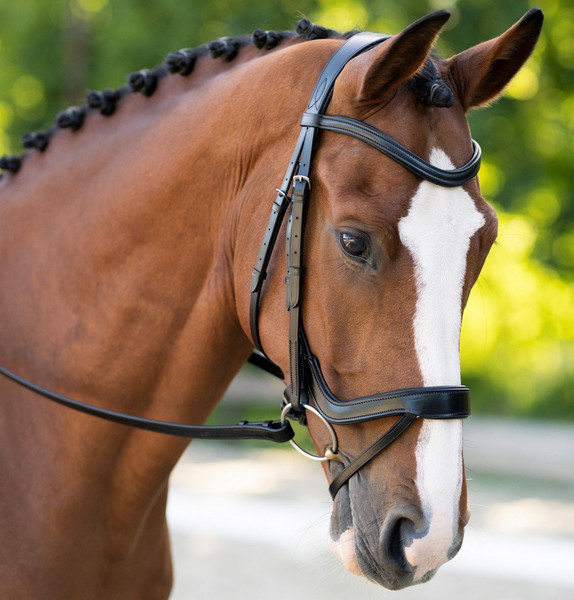 bo-palm-ergonomic-bridle-black 