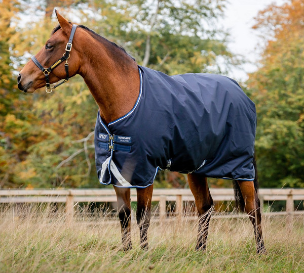 Horseware Ireland Amigo Bravo 12 Plus T/O Lite Disc Excalibur/Aqua & Türkis