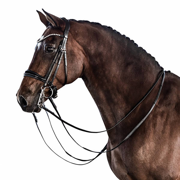 Lara Tweedie Patent Essential Double Bridle- Dressage Bridles
