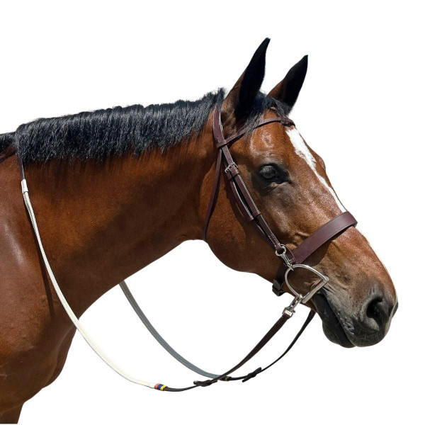 2023 BRIDLE POROSUS / TONGUE BK×LVA 新品 easy-change-bridle-brown-wide-