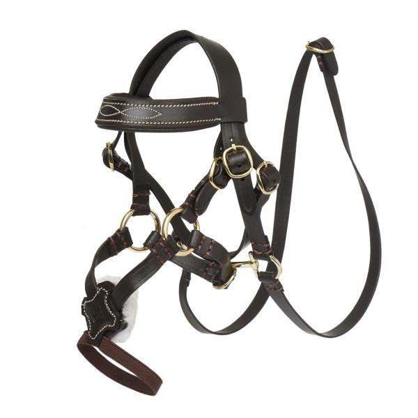 LeMieux Toy Pony Grackle Bridle- Toys