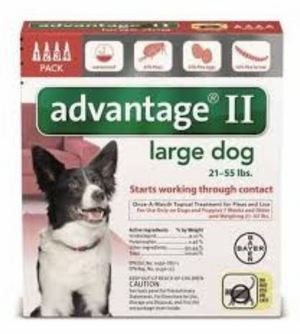 advantage large dog