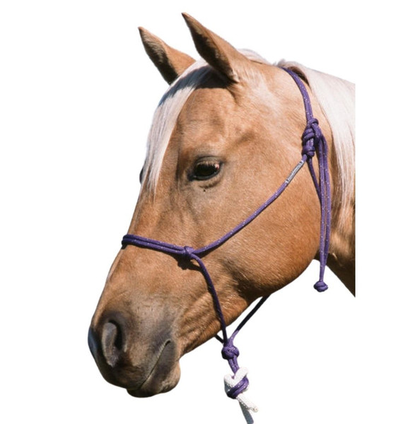 A Premium Rope Halter - Western Horseman %