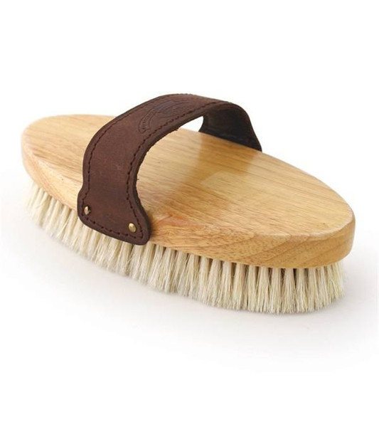 Precious Tails Advanced 2-in-1 Pet Grooming Brush for Dogs & Cats