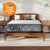 Perfect Sleeper Innerspring Cascade Ridge Plush Tight Top 12.5" Mattress