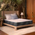 https://www.beautyrest.com/cdn/shop/files/rsqydjiq1xyj6uebqede.jpg