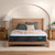 https://www.beautyrest.com/cdn/shop/files/vwyzjrbwxnv8j2wiw3g1.jpg