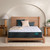 https://www.beautyrest.com/cdn/shop/files/nwa7epidwuaytk2xgmrs.jpg