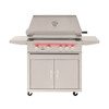 TrueFlame 32" 4 Burner Gas Grill - Liquid Propane