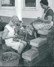 The Porch and Peas