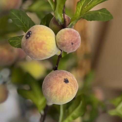 35" Real Touch Flocked Fig Stem | Fall Greenery & Floral Décor