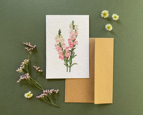Plantable Greeting Card- Snapdragon, Creativity