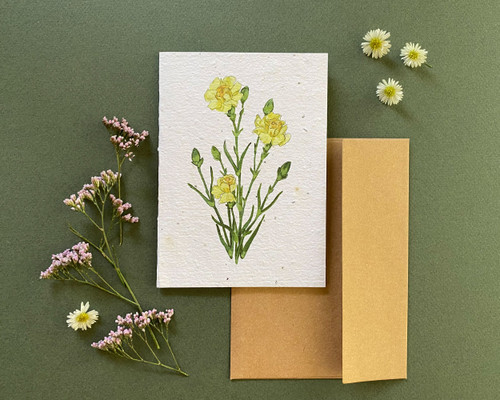 Plantable Greeting Card-Carnations, Joy & Commitment
