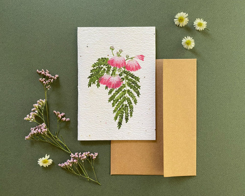 Plantable Greeting Card- Mimosa, Humility