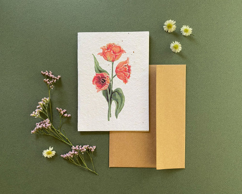 Plantable Greeting Card-Variegated French Tulip, Elegance & Grace