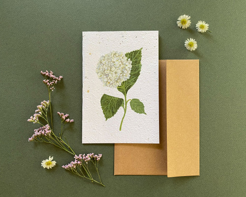Plantable Greeting Card-Hydrangea, Thank You for Understanding