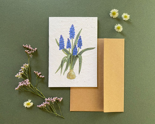 Plantable Greeting Card- Muscari, Romance
