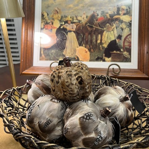 Pumpkins with natural feathers for a rustic outdoorsy touch. Perfect for fall decor or centerpiece.