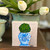 topiary-acrylic-canvas-block-4x4-sharon-andress.jpg


Original topiary acrylic canvas block painting 4x4 by Sharon Owens Andress exclusive to Pine Apple Mercantile Co