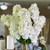 Tall 28-inch white real touch cone hydrangea stem with realistic petals and green foliage, styled in a decorative vase for classic Southern-inspired home décor and floral arrangements.