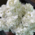 Tall 28-inch white real touch cone hydrangea stem with realistic petals and green foliage, styled in a decorative vase for classic Southern-inspired home décor and floral arrangements.